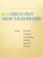 nghiên cứu công ty unilever và bài học kinh nghiệm