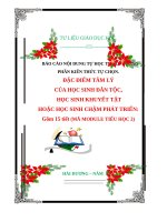 BÁO CÁO NỘI DUNG TỰ HỌC TỰ BỒI DƯỠNG PHẦN KIẾN THỨC TỰ CHỌN. ĐẶC ĐIỂM TÂM LÝ  CỦA HỌC SINH ĐÂN TỘC,  HỌC SINH KHUYẾT TẬT  HOẶC HỌC SINH CHẬM PHÁT TRIỂN: (MÃ MODULE TIỂU HỌC 2)