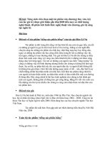 tiểu luận Từng sinh viên chọn một tác phẩm văn chương( thơ, văn, ký) của tác giả trẻ được giới thiệu gần đây(2009 đến nay) có chất lượng nghệ thuật, để phân tích hình thức nghệ thuật văn chương, giá trị sáng tạo ngôn từ