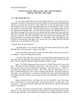 skkn cách làm thư viện xanh- thư viện di động ở tiểu học