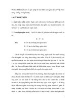 Phân tích một số giải pháp tài trợ thâm hụt ngân sách ở Việt Nam trong những năm gần đây