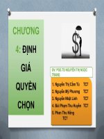 tiểu luận định giá quyền chọn