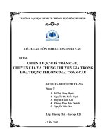 chiến lƣợc giá toàn cầu, chuyển giá và chống chuyển giá trong hoạt động thƣơng mại toàn cầu