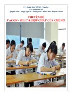 chuyên đề cacbon silic và hợp chất của chúng