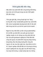 tôi là giám đốc bền vững