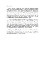 crm và ứng dụng trong kinh doanh viễn thông ở việt nam