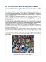 tài liệu mô hình kinh doanh cho thị trường đang phát triển