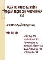 quản trị rủi ro tài chính tầm quan trọng của phƣơng pháp var