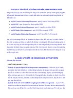 TÓM TẮT VỀ HỆ THỐNG PHẦN MỀM mySAP BUSINESS SUITE Hãng SAP