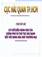 cơ chế điều hành và thủ tục hải quan