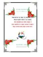 NỘI DUNG TỰ HỌC TỰ BỒI DƯỠNG PHẦN KIẾN THỨC TỰ CHỌN. MÃ MODULE TIỂU HỌC 3:  ĐẶC ĐIỂM CỦA HỌC SINH CÁ BIỆT,  HỌC SINH GIỎI, HỌC SINH YẾU.