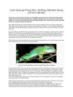 vườn quốc gia phong nha - kẻ bàng- một thiên đường còn lại ở việt nam