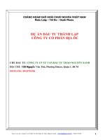 dự án đầu tư thành lập công ty cổ phần địa ốc