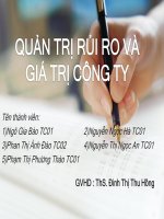 đề tài quản trị rủi ro và giá trị công ty