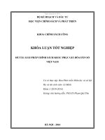 giải pháp chính sách khắc phục già hóa dân số việt nam