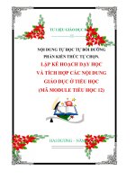 NỘI DUNG TỰ HỌC TỰ BỒI DƯỠNG PHẦN KIẾN THỨC TỰ CHỌN. LẬP KẾ HOẠCH DẠY HỌC VÀ TÍCH HỢP CÁC NỘI DUNG GIÁO DỤC Ở TIỂU HỌC: Gồm 15 tiết  (MÃ MODULE TIỂU HỌC 12)