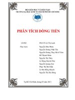 tiểu luận môn học phân tích tài chính phân tích dòng tiền