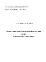 skkn tổ chức, quản lý dạy học hai buổi và bài học kinh nghiệm ở trường thpt lê hồng phong