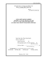 skkn  tìm hiểu và tuyên truyền tác hại ma túy và hivaids dưới hình thức sân khấu hóa trong ngoại khóa sinh học thpt xuân thọ