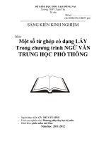 skkn  một số từ ghép có dạng láy  trong chương tình ngữ văn trung học phổ thông xuân thọ