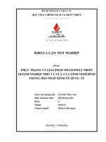 Thực trạng và giải pháp phát triển doanh nghiệp nhỏ và vừa của tỉnh Ninh Bình trong hội nhập kinh tế quốc tế