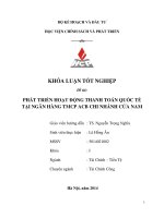 phát triển hoạt động thanh toán quốc tế của ngân hàng acb chi nhánh cửa nam