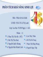 báo cáo tiểu luận môn phân tích tài chính phân tích khả năng sinh lợi