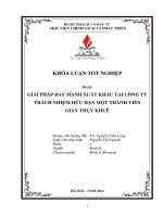 Giải pháp đẩy mạnh xuất khẩu tại Công ty trách nhiệm hữu hạn một thành viên Giày Thụy Khuê