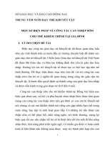 skkn một số biện pháp về công tác can thiệp sớm cho trẻ khiếm thính tại gia đình thcs bình sơn