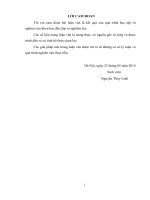 giải pháp nâng cao tổ chức quản lý vốn tại xí nghiệp xây dựng và hoàn thiện chi nhánh công ty đầu tư phát triển hạ tầng viglacera