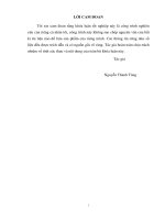 thực trạng về chính sách thu hút, sử dụng vốn đầu tư trực tiếp nước ngoài (fdi) ở việt nam giai đoạn 2007 - 2013 và các khuyến nghị chính sách