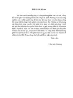 Đánh giá hiệu quả sử dụng vốn trong ngành nông nghiệp tỉnh Phú Thọ giai đoạn 2006 – 2010