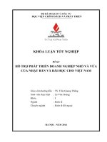 Hỗ trợ phát triển doanh nghiệp nhỏ và vừa của Nhật Bản và bài học cho Việt Nam