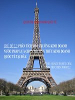 báo cáo phân tích môi trường kinh doanh nước pháp lựa chọn phương thức kinh doanh quốc tế tại đây