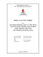 Khóa luận tốt nghiệp: Giải pháp mở rộng cho vay tiêu dùng tại Ngân hàng TMCP Công Thương Việt Nam chi nhánh Nam Thăng Long