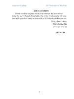 Phân tích hiệu quả sử dụng vốn tại công ty cổ phần nhựa OPEC