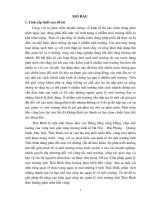 giải pháp quản lý môi trường tỉnh thái bình theo hướng phát triển bền vững