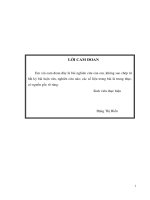 thu hút đầu tư trực tiếp nước ngoài vào tỉnh nam định thực trạng và giải pháp