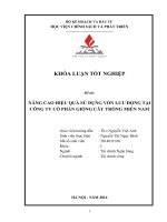 nâng cao hiệu quả sử dụng vốn lưu động tại công ty cổ phần giống cây trồng miền nam