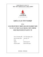 Giải pháp phát triển doanh nghiệp nhỏ và vừa ở Việt Nam trong tiến trình hội nhập kinh tế quốc tế
