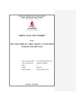 đấu thầu điện tử thực trạng và giải pháp áp dụng tại việt nam