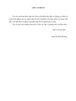 giải pháp thúc đẩy hoạt động tài chính vi mô tại viện tài chính vi mô và phát triển cộng đồng macdi