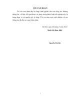 giải pháp phát triển du lịch bền vững tại thị xã sầm sơn