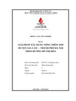 Giải pháp xây dựng nông thôn mới huyện Gia Lâm thành phố Hà Nội theo hướng đô thị hóa