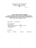 skkn hướng dẫn học sinh thao tác trên mô hình để hình thành quy tắc, công thức tính diện tích trong chương hình học lớp 5