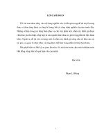 Vai trò của vốn đầu tư trực tiếp nước ngoài (FDI) đối với phát triển kinh tế, xã hội tỉnh Hà Nam giai đoạn 2006-2013