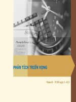 báo cáo phân tích triển vọng và dự phóng báo cáo tài chính
