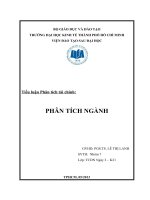 tiểu luận phân tích tài chính phân tích ngành