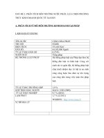 phân tích môi trường kinh doanh nước pháp lựa chọn phương thức kinh doanh quốc tế tại đây