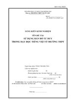 skkn sử dụng bản đồ tư duy trong dạy học tiếng việt ở trường thpt chuyên lương thế vinh